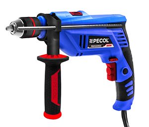 Berbequim Elétrico 800W BBQ800PRO PECOL